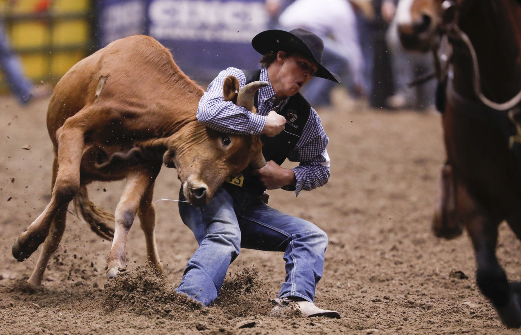 CNFR - Tuesday
